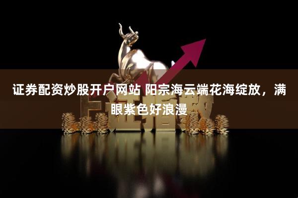 证券配资炒股开户网站 阳宗海云端花海绽放，满眼紫色好浪漫