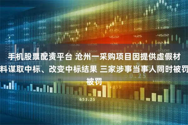 手机股票配资平台 沧州一采购项目因提供虚假材料谋取中标、改变中标结果 三家涉事当事人同时被罚