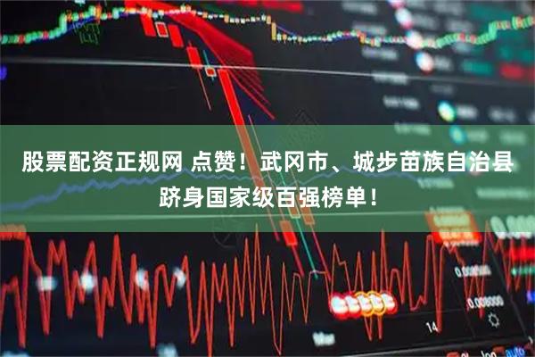 股票配资正规网 点赞！武冈市、城步苗族自治县跻身国家级百强榜单！